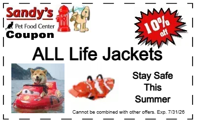 Life Jackets - Stay Safe This Summer