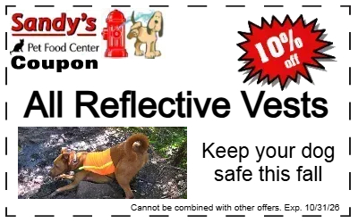 Reflective Vests - Stay Safe This Fall